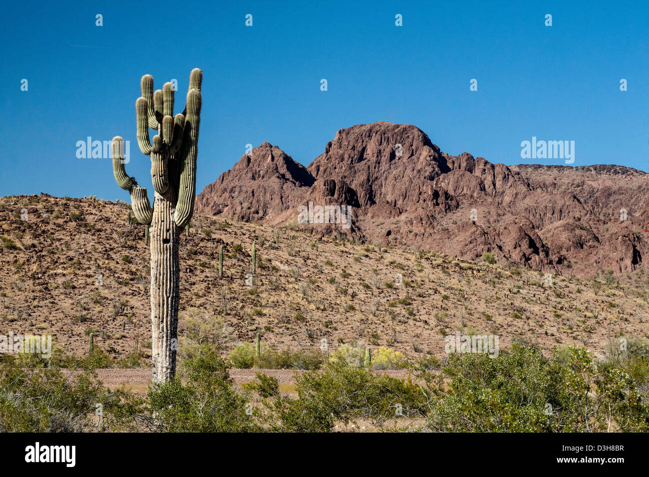 Yuma desert hires stock photography and images Alamy