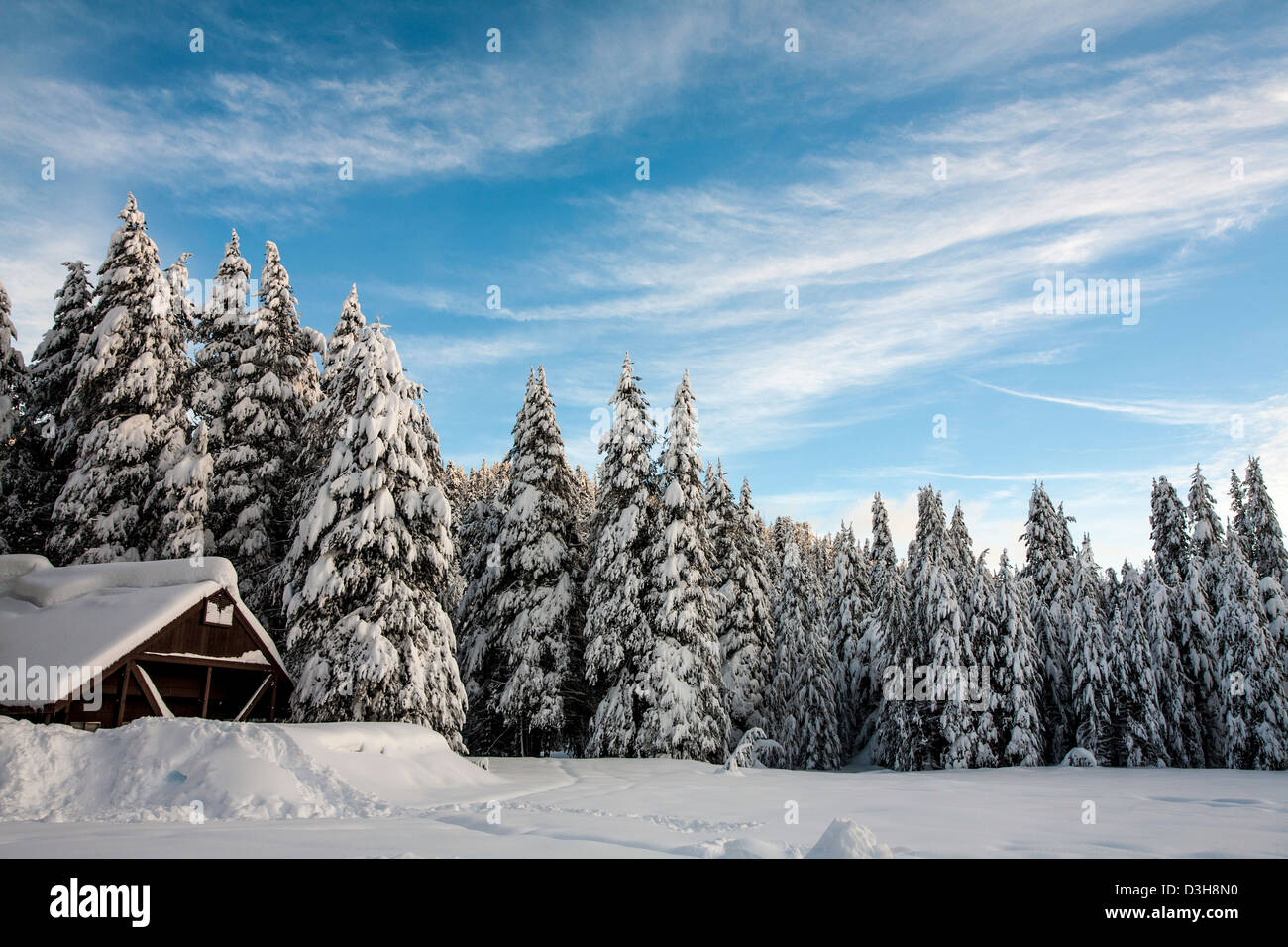 Wolverton Snow Play area Sequoia National Park Stock Photo Alamy