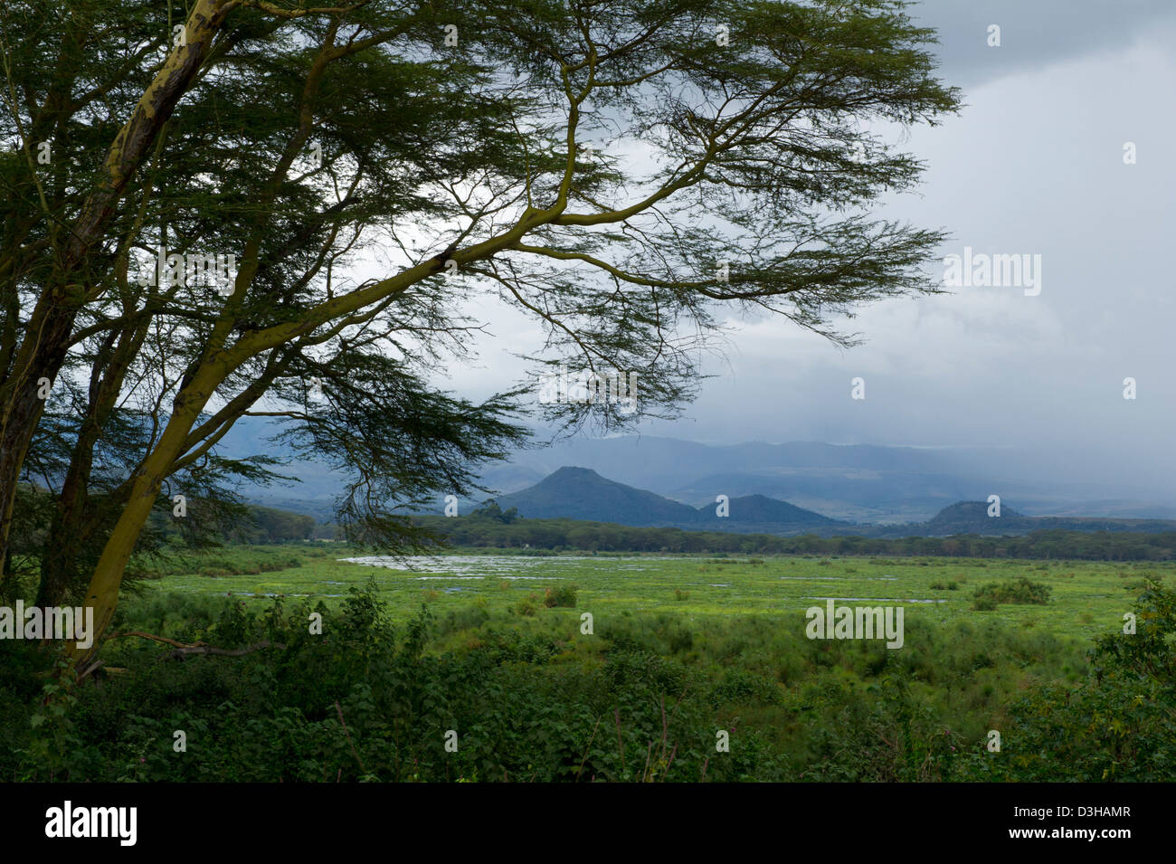 Lake Naivasha, Kenya Stock Photo