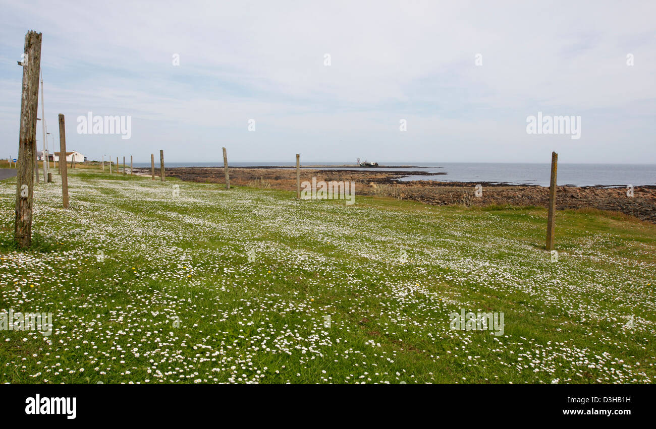 The Shoreline and fishing net posts at Inverallochy and Cairnbulg, on the North East coast of Scotland Stock Photo