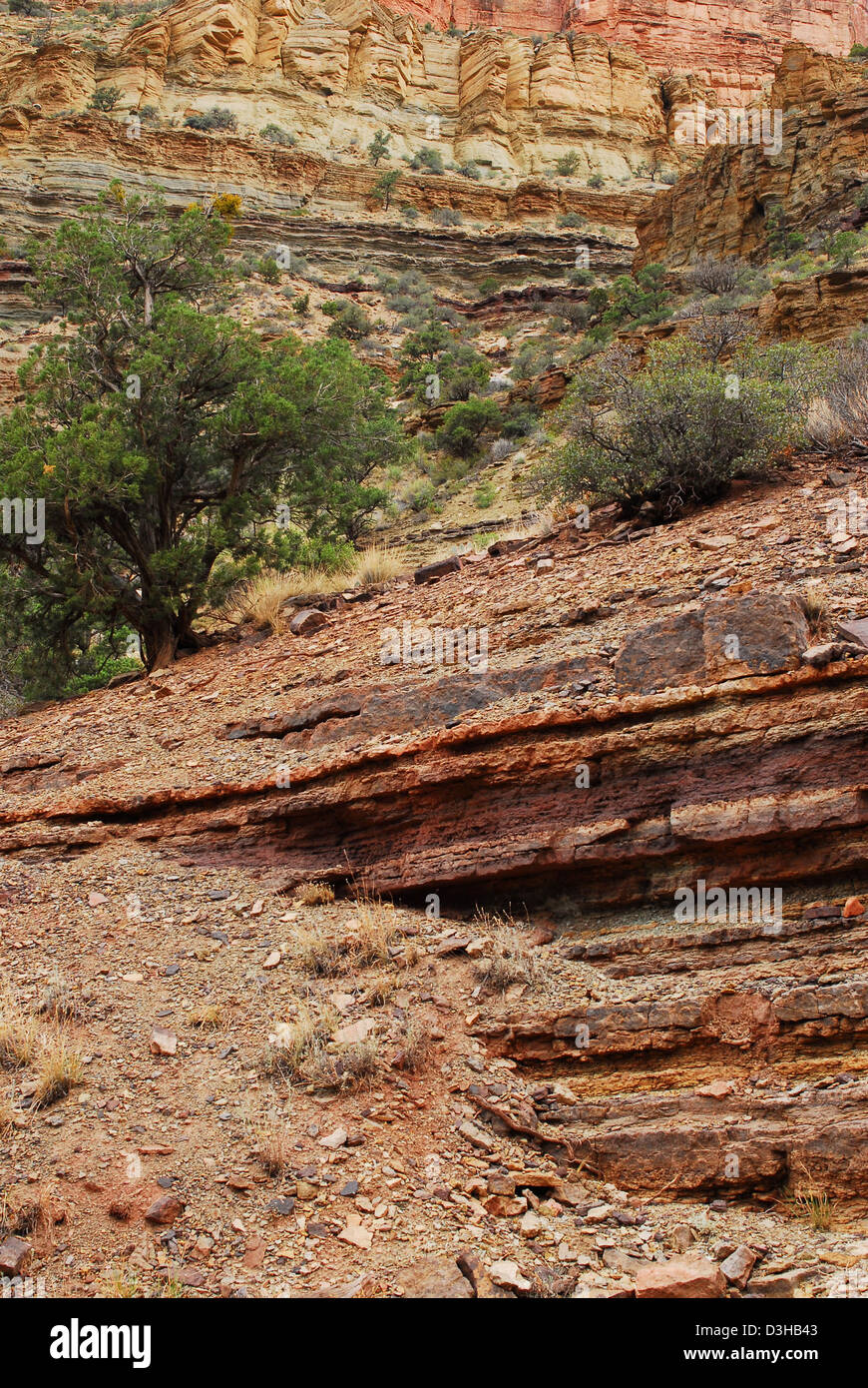 Grand Canyon National Park: Colorful Ledges in Muav 0449 Stock Photo