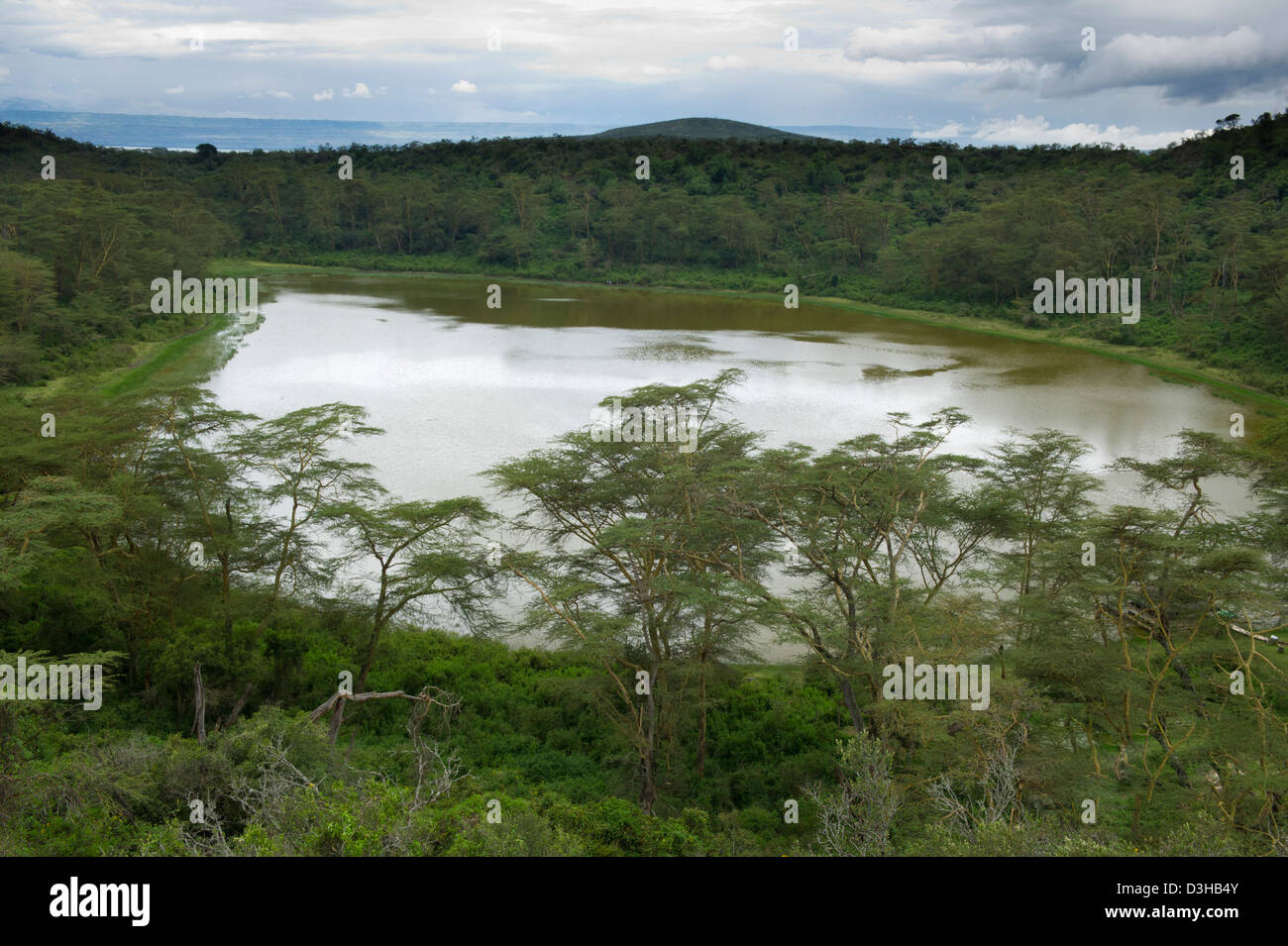 Green Crater Lake, Naivasha, Kenya Stock Photo Alamy