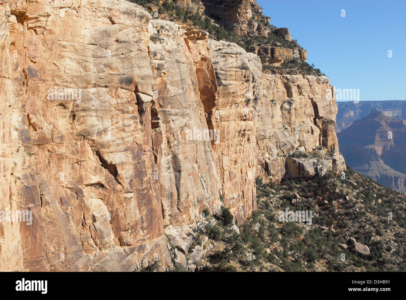 Grand Canyon National ParkWall of Coconino Sandstone 0597 Stock Photo