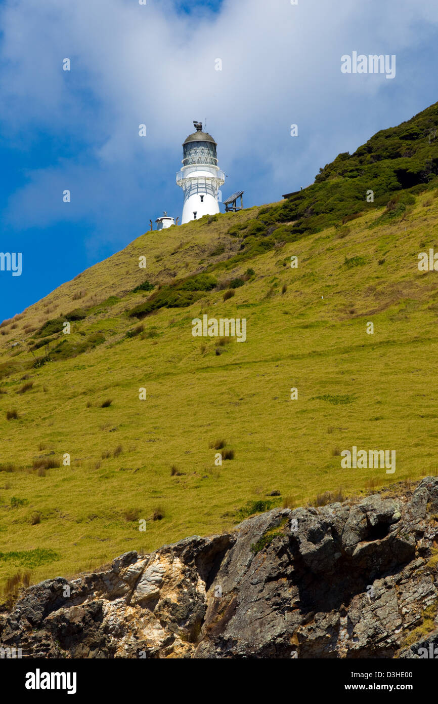 Shipwreck bay new zealand hires stock photography and images Alamy