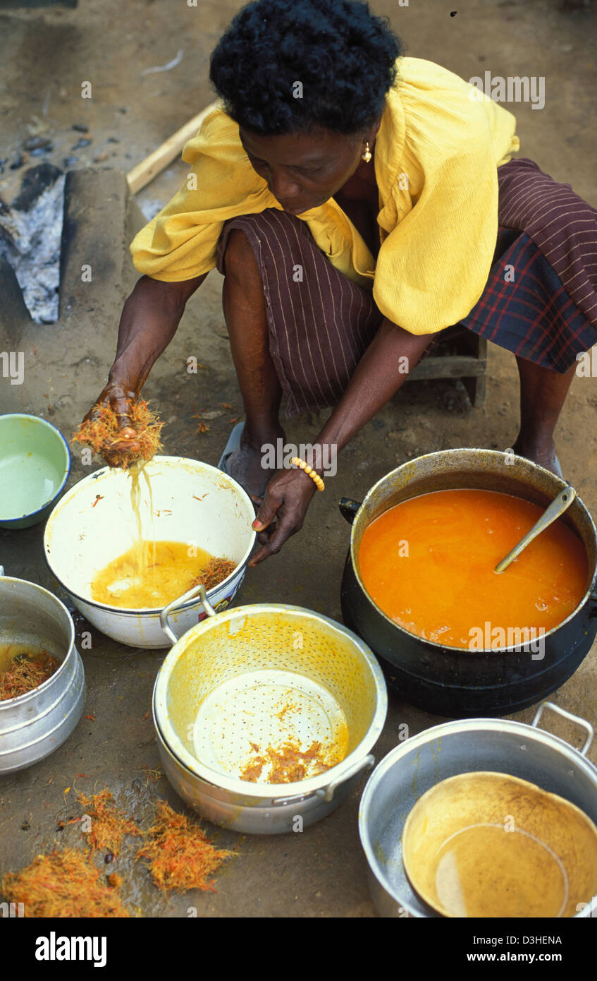 Palm oil tree africa hi-res stock photography and images - Alamy