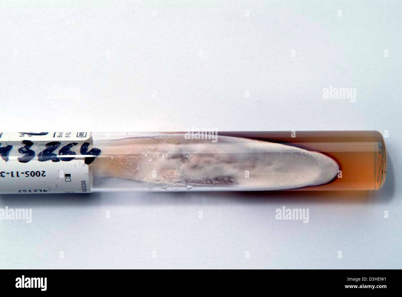 Doxypet mono injection price