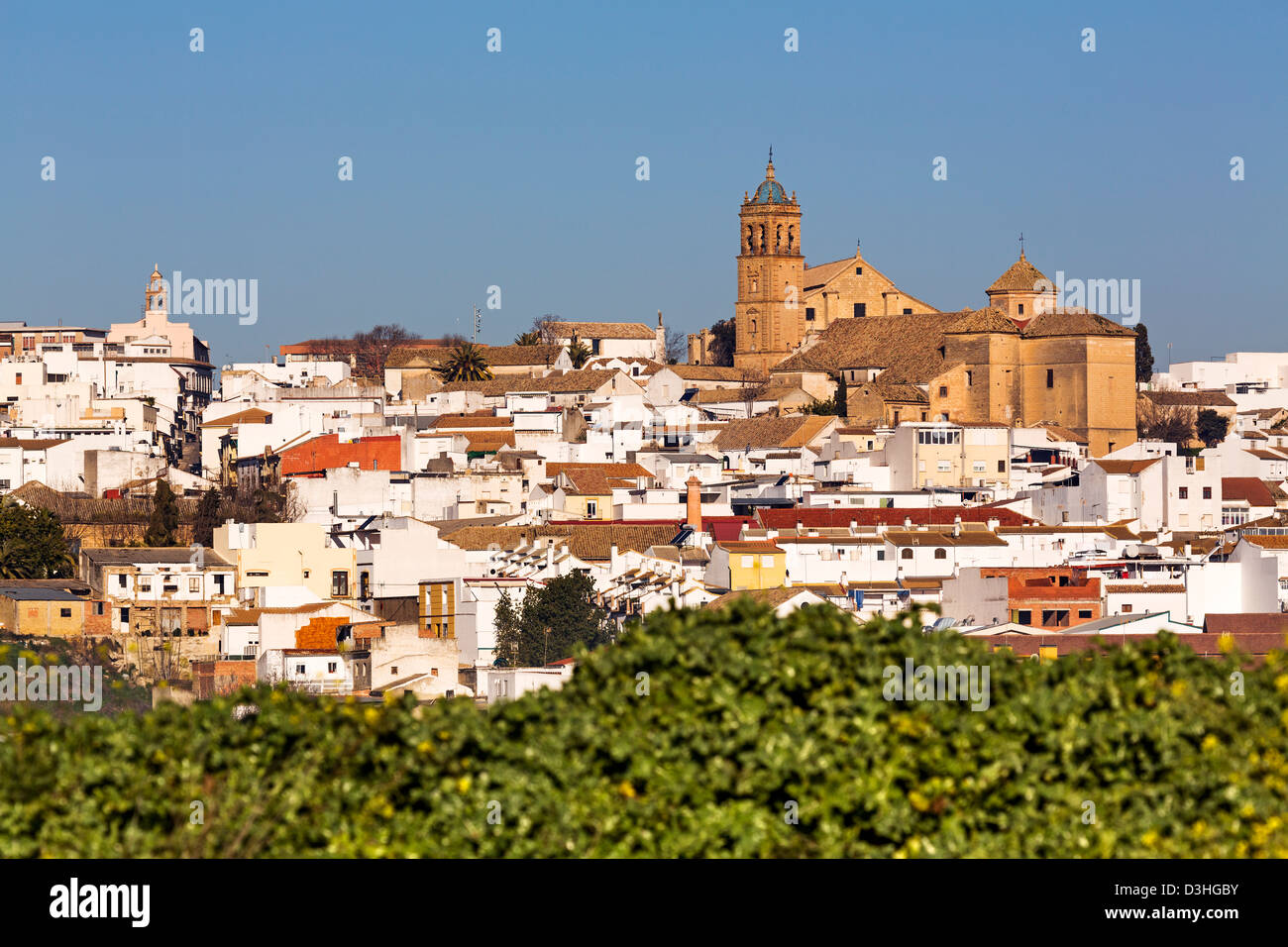 Montilla hi-res stock photography and images - Alamy