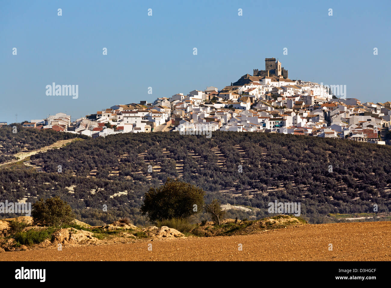 Village and castle Espejo Cordoba Andalusia Spain Stock Photo