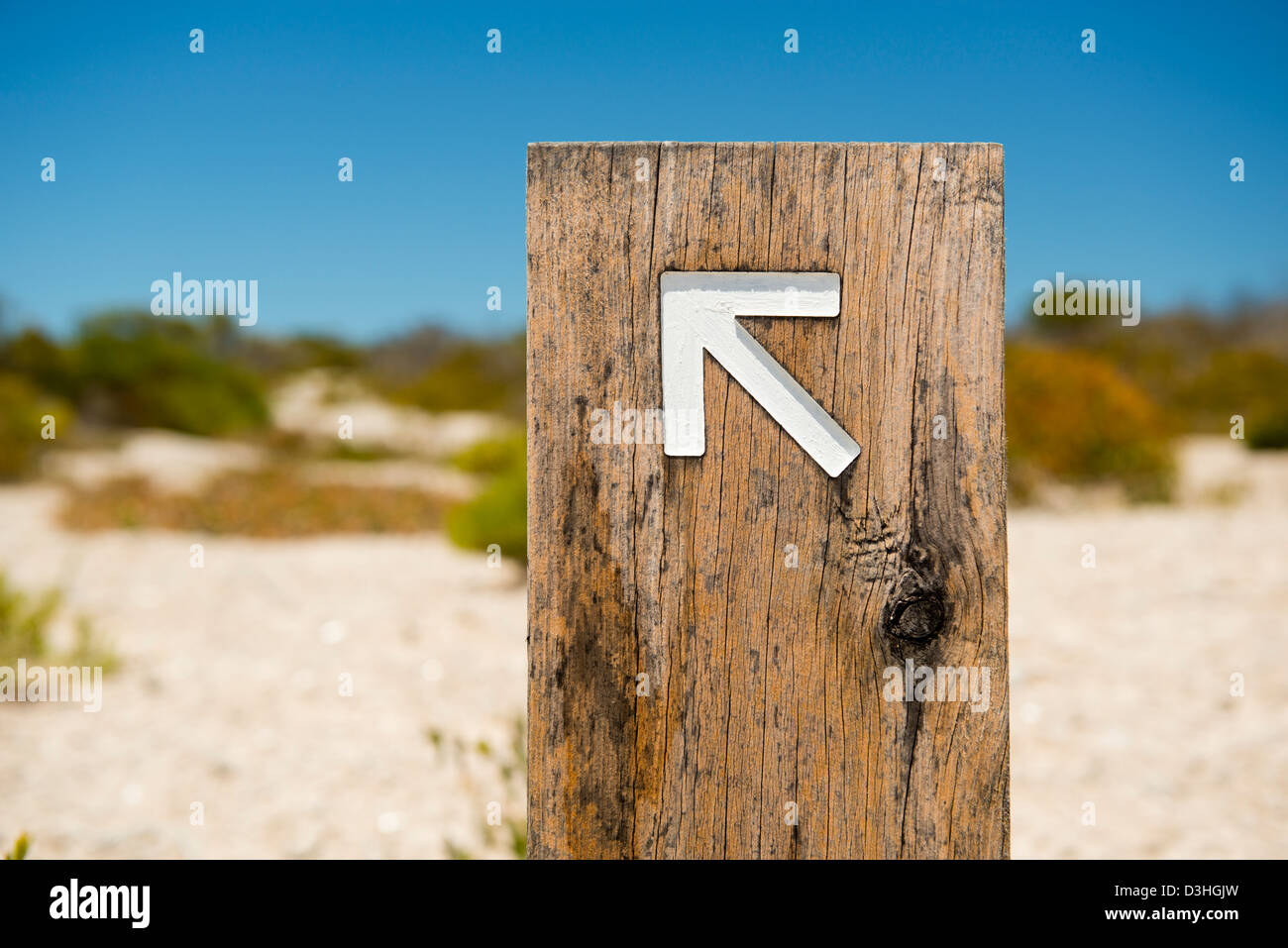 Arrow signs outside pointing the way on a walking trail Stock Photo