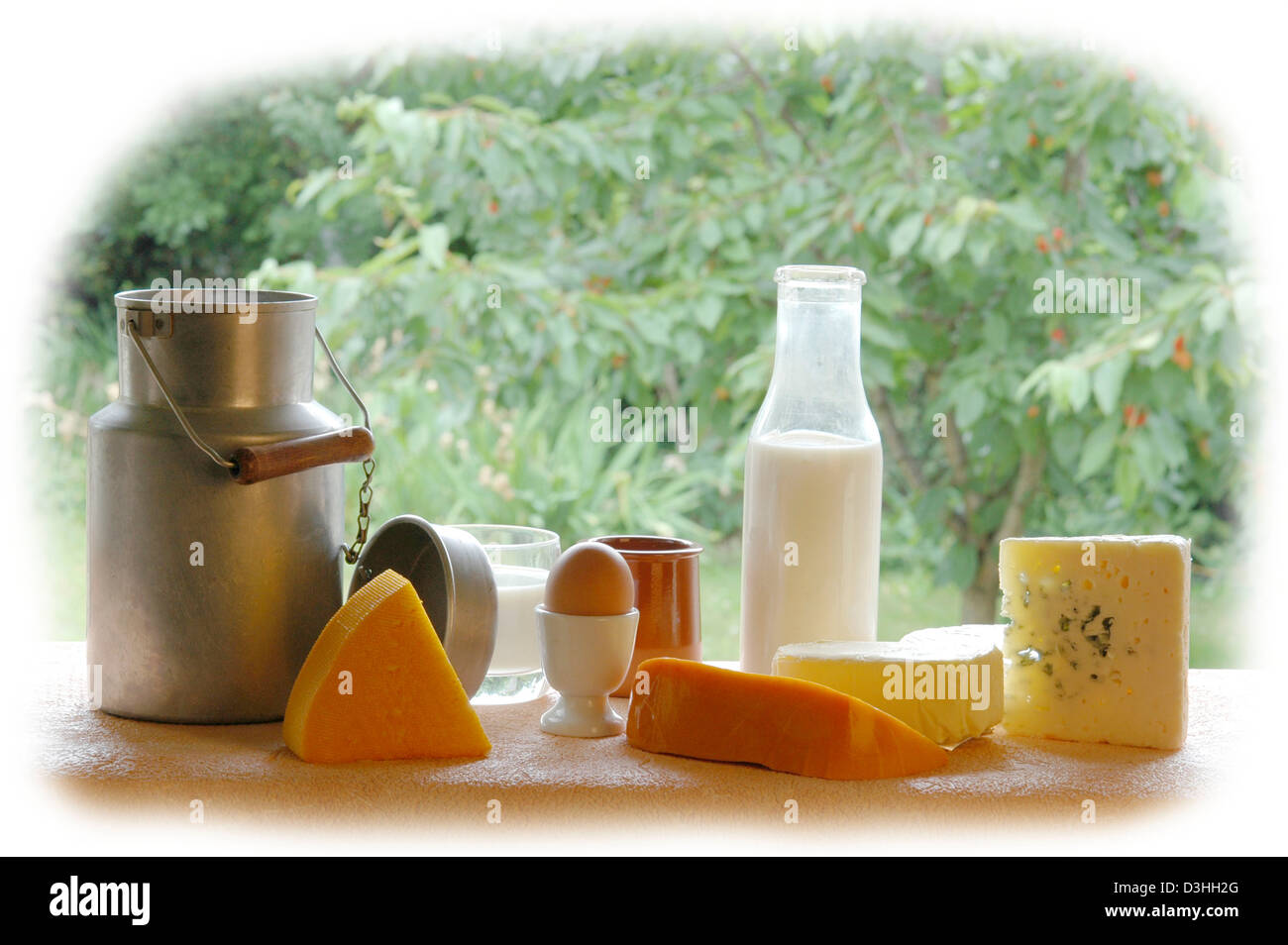 DAIRY PRODUCT Stock Photo