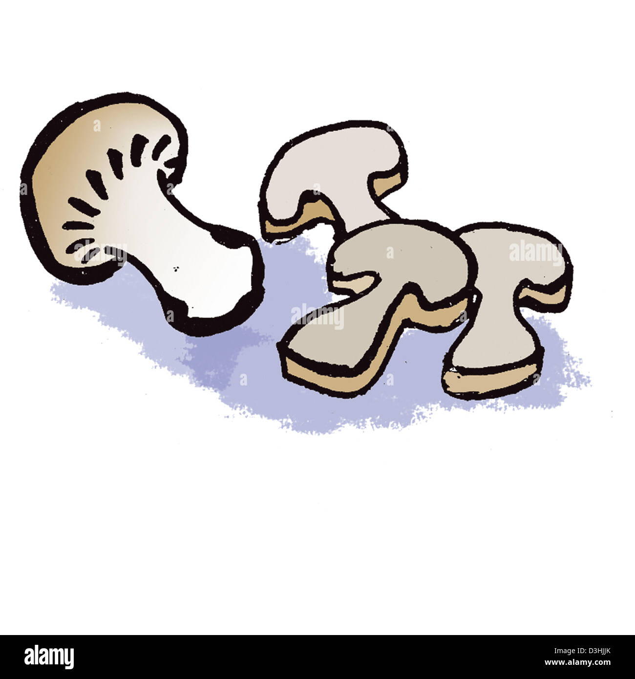 MUSHROOM, DRAWING Stock Photo