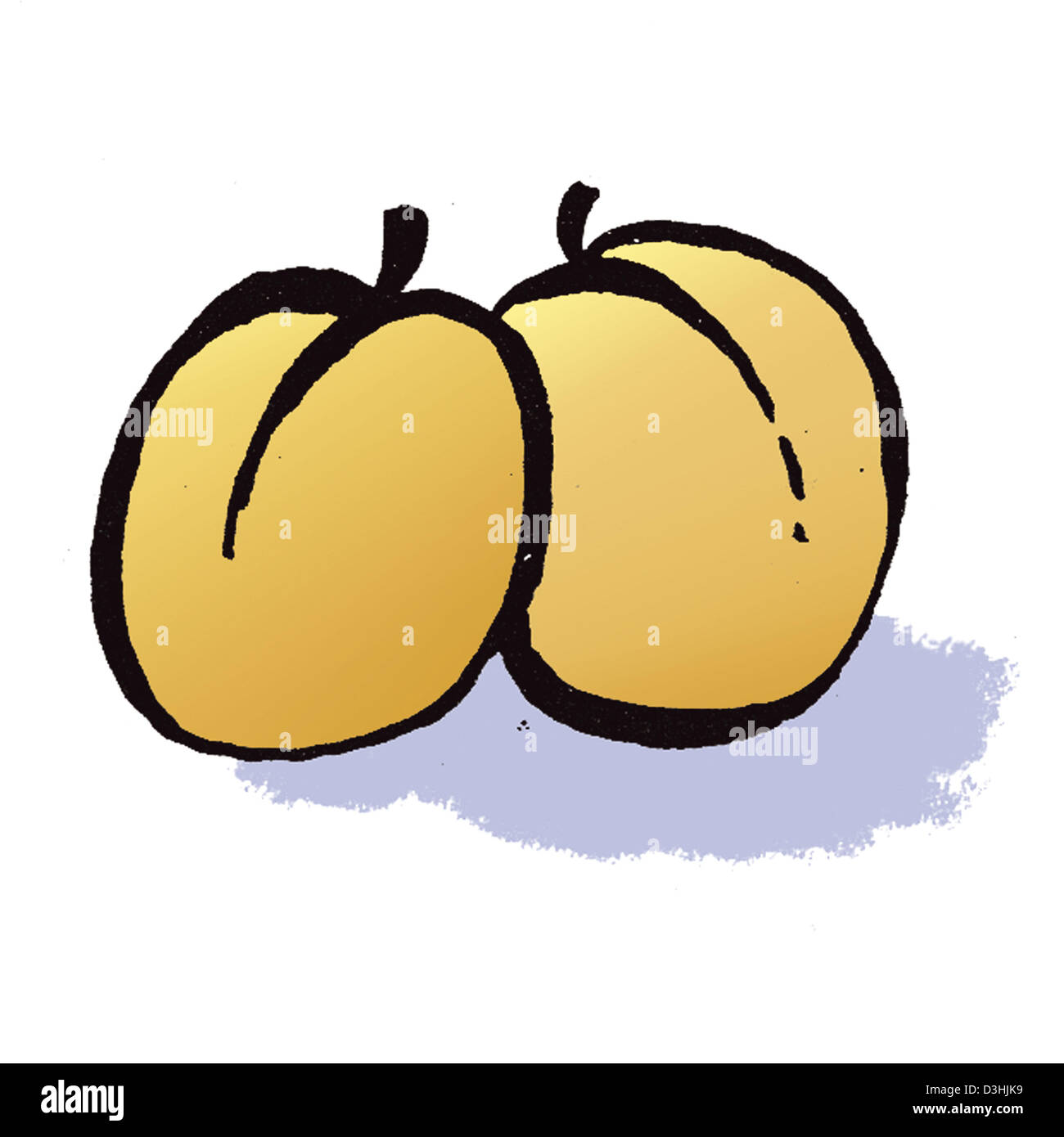 APRICOT, DRAWING Stock Photo Alamy