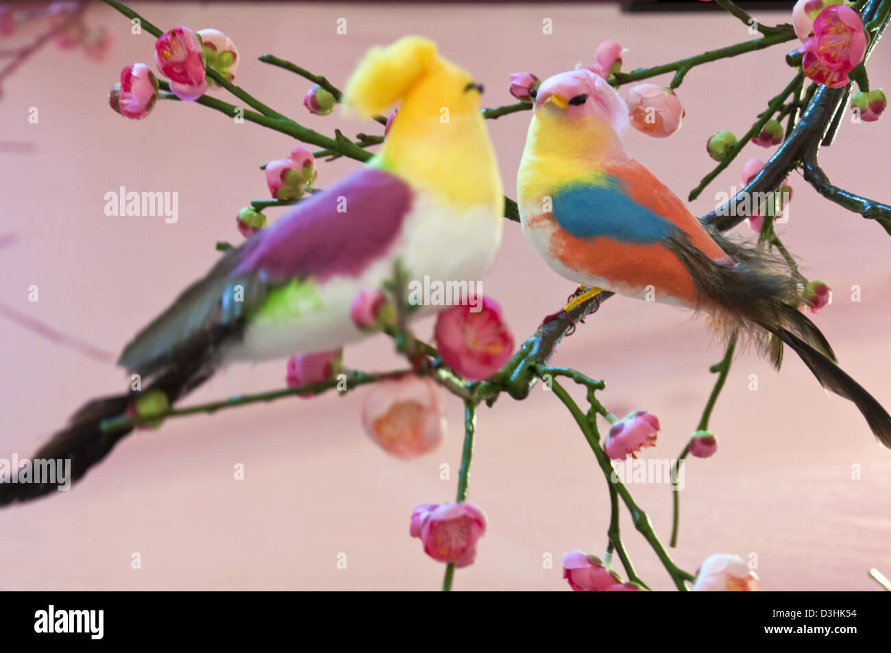 two birds are singing on the branches full of flowers blossom Stock Photo