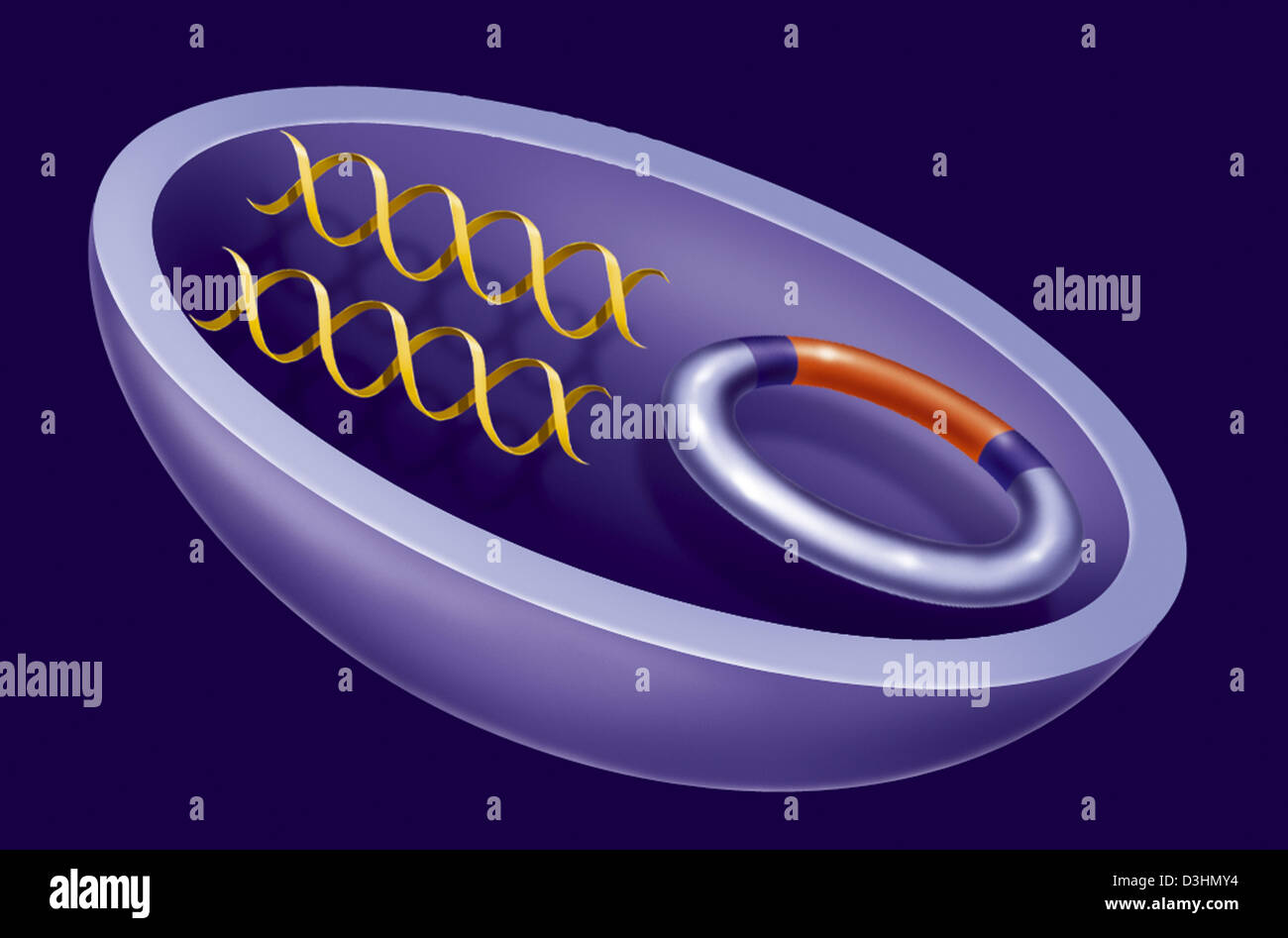 GENETIC ENGINEERING Stock Photo