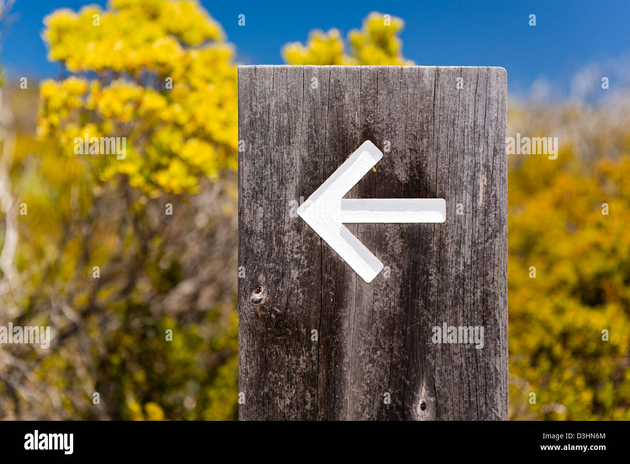 Arrow signs outside pointing the way on a walking trail Stock Photo