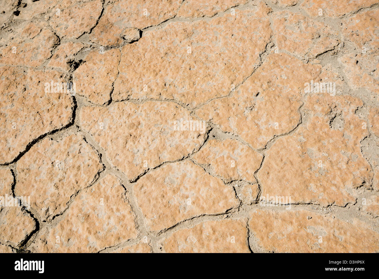 Ground splitting apart by large cracks in the heat Stock Photo Alamy