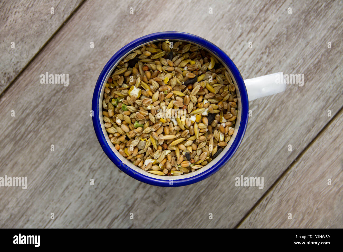 Bird seed in an enamel cup Stock Photo Alamy