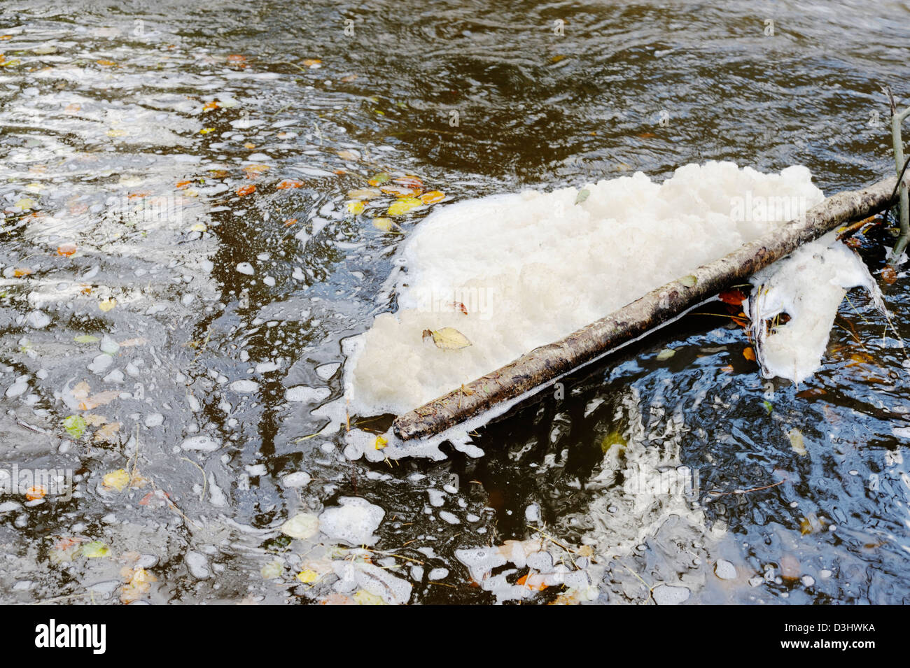 Foam in a river formed from saponins in tree leaves, dropped in Autumn, Wales, UK Stock Photo