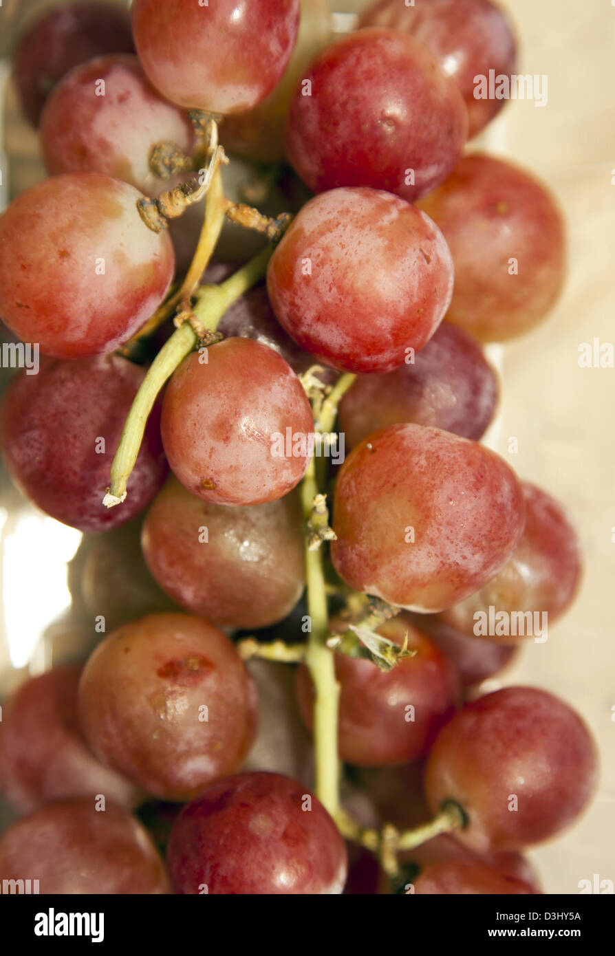Red Table Grapes from South Africa Stock Photo Alamy