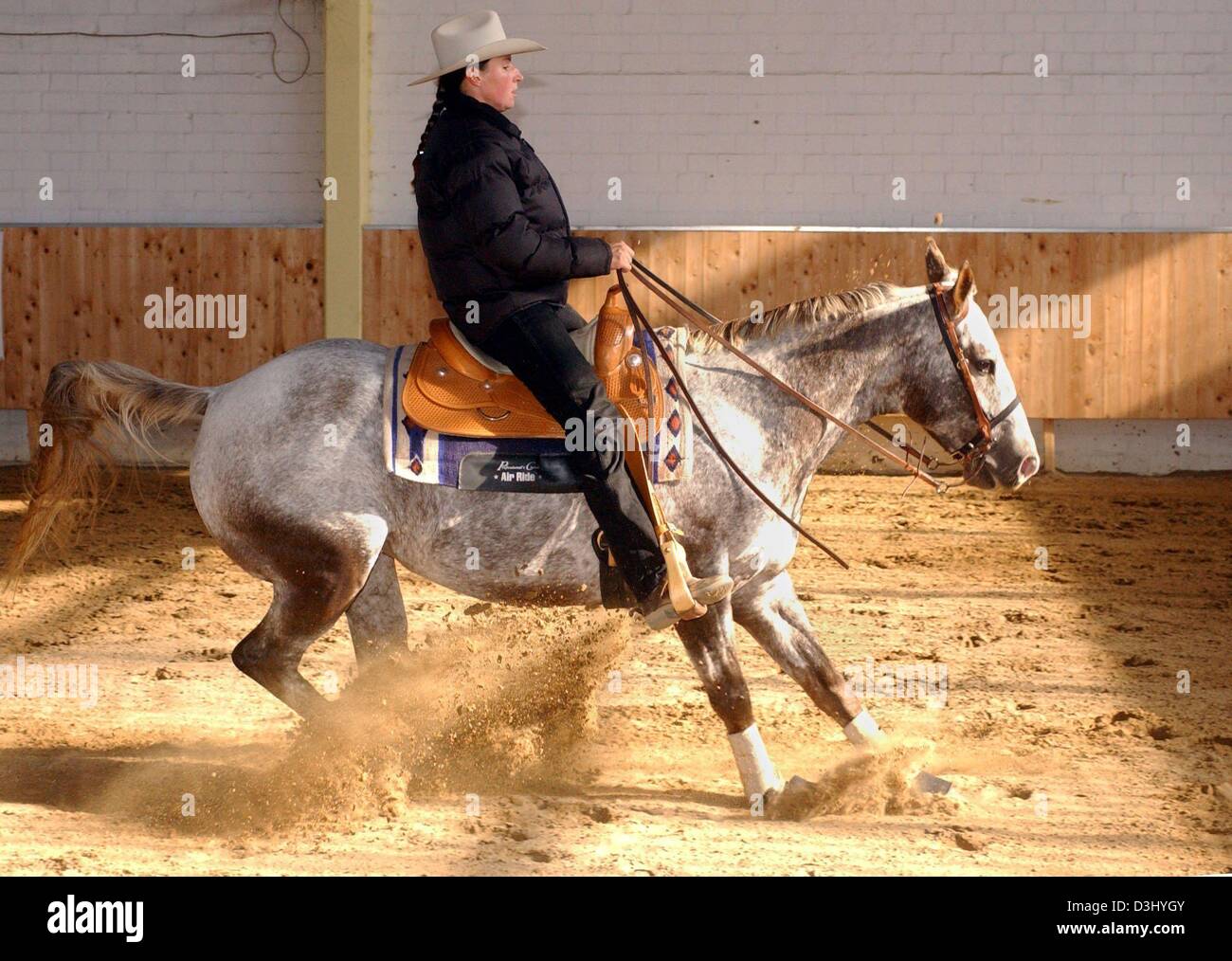 (dpa) From a gallop rider LenaMarie Nordhausen brings the reining
