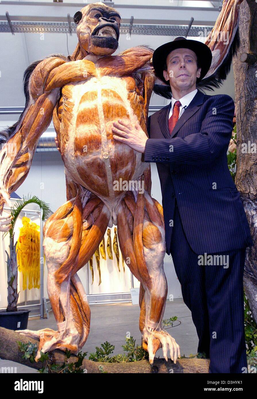 dpa) - Professor Gunther von Hagens from Heidelberg poses next to a  plastinated gorilla during a press conference for his exhibition 'Body  Worlds' at the Naxos Halle in Frankfurt, Germany, 15 January