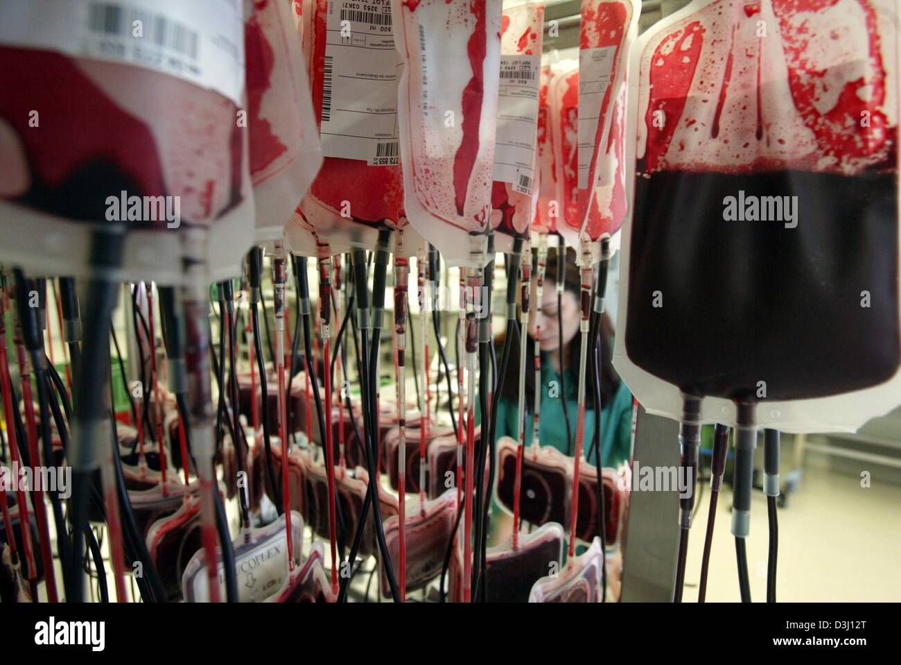 (dpa) - Numerous bags with donated blood supply are seen at the German Red Cross in Hagen, Germany, 27 January 2004. In Germany, about 2 million people donate blood every year. The average age of the blood donors is over fifty years; therefore advertising campaigns aim to win younger people as blood donors. Stock Photo