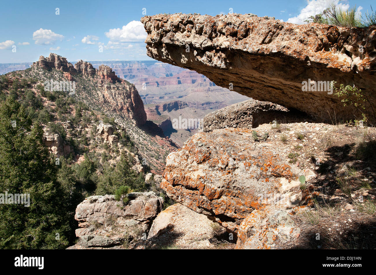 Grand Canyon National Park: Kaibab Formation 2504 Stock Photo