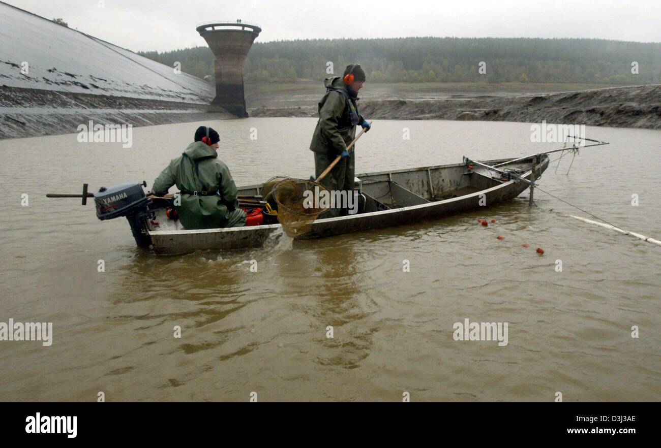 (dpa) - Fishermen use electro-fishing equipment to catch carps and other fish from the reservoir in Langelsheim, Germany, 7 October 2003. Because of a restoration of the dam thousands of fishes have to be relocated to other ponds and lakes. Electro-fishing is a technique of utilizing an electrical current to momentarily stun fish or force them to involuntarily swim towards an elect Stock Photo