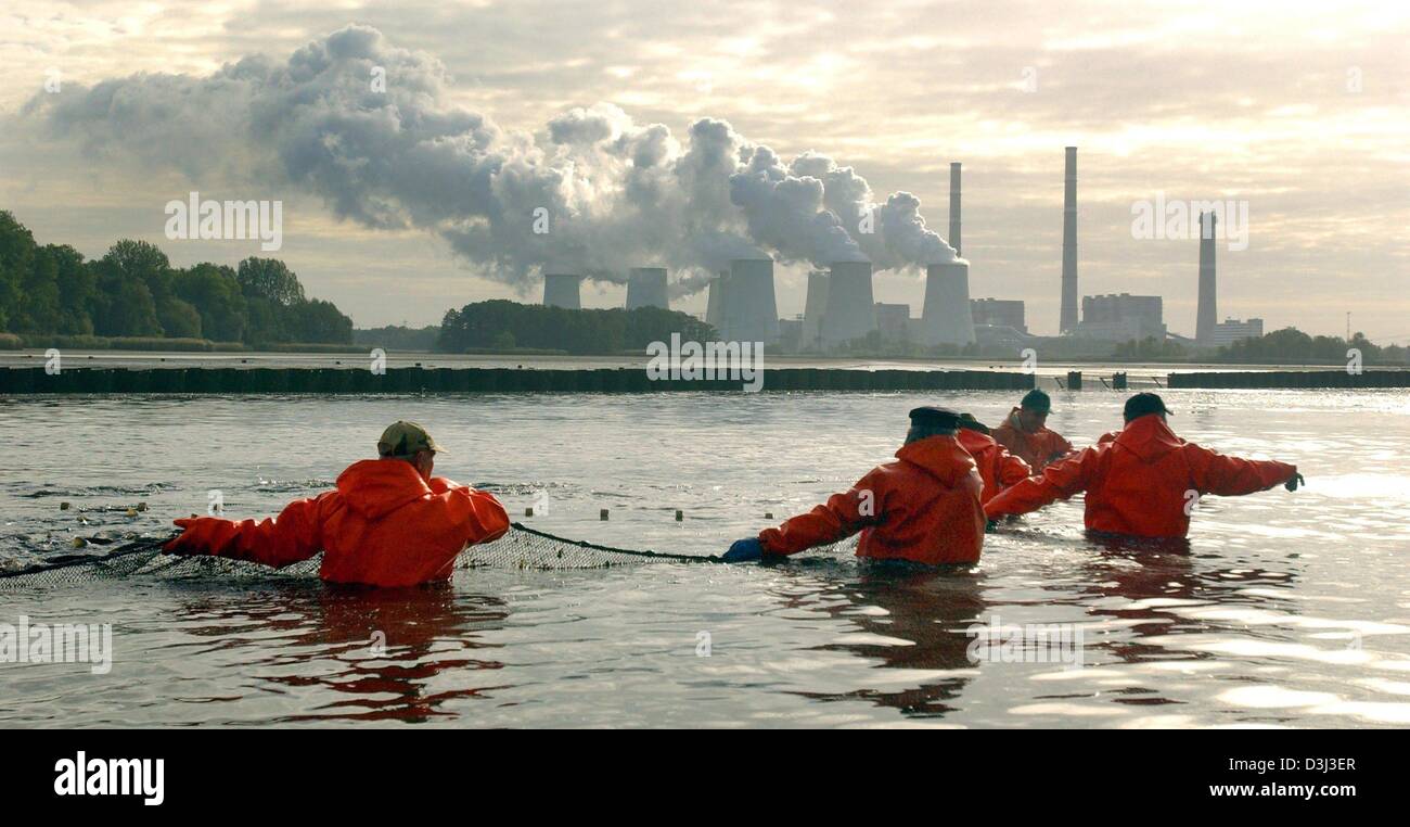 (dpa) Fishermen with nets fish for carps in a lake in Peitz, Germany