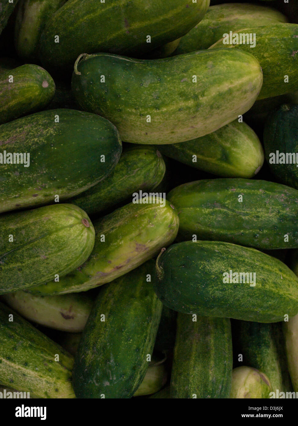 Fresh organic food at the local farmers market. Farmers markets are a