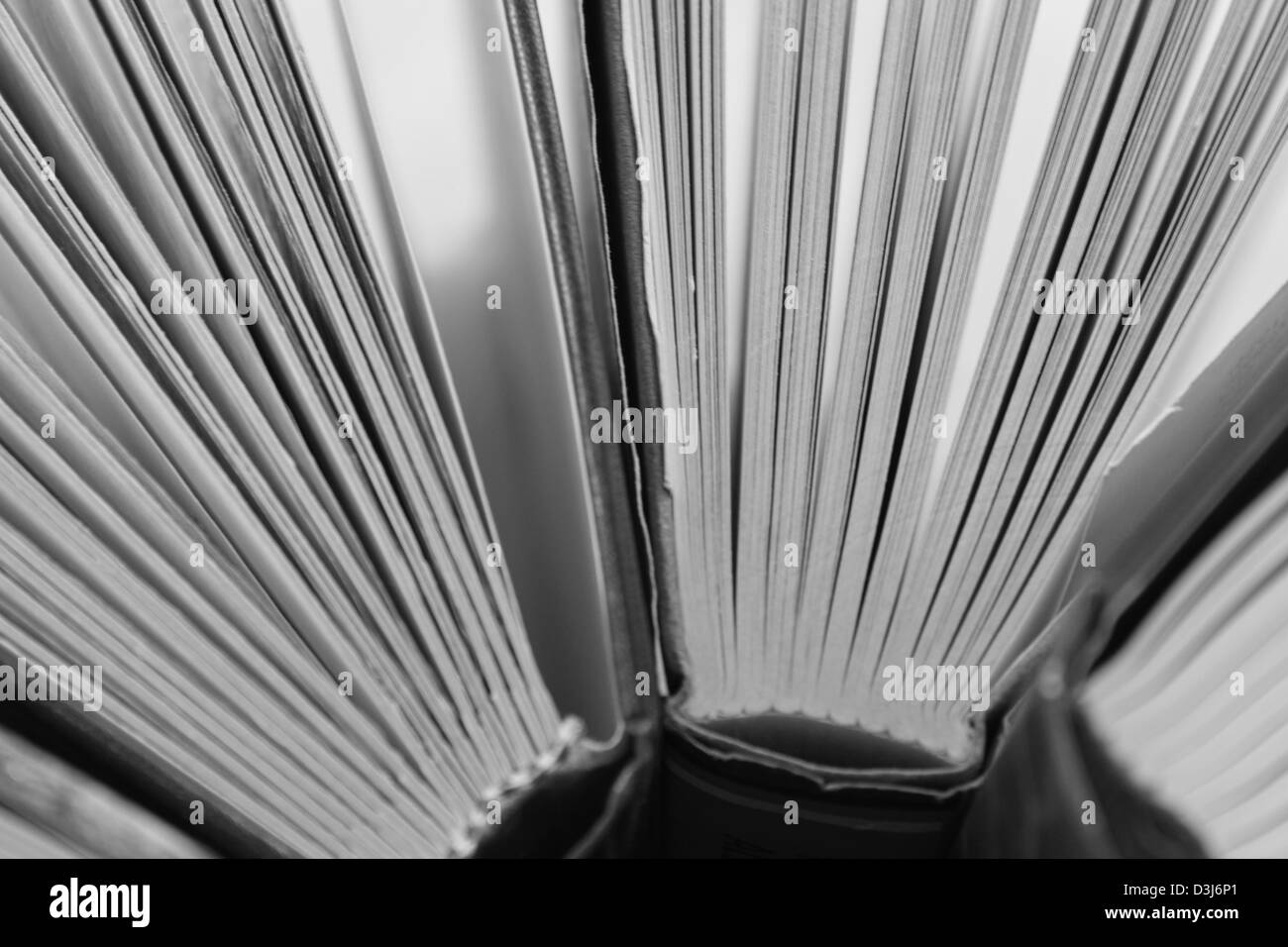 Top down close up of standing up books Stock Photo