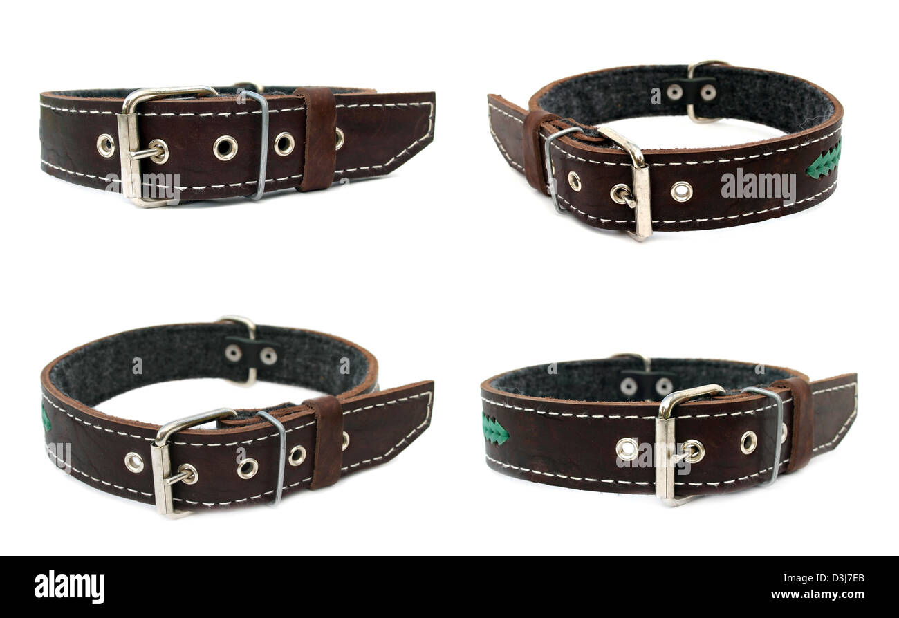 Animal collar set isolate on a white background Stock Photo - Alamy