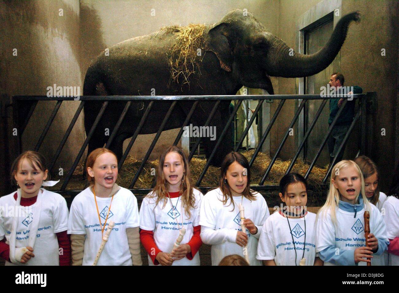 Human interest hum animals education edu children elephant singing germany  hi-res stock photography and images - Alamy