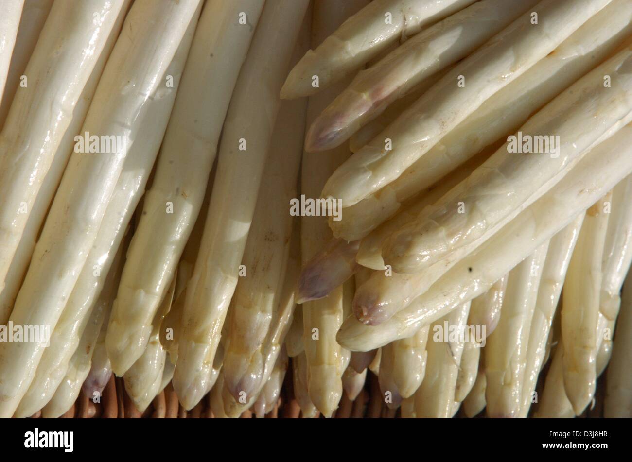 Economy business finance ebf agriculture asparagus field vegetable