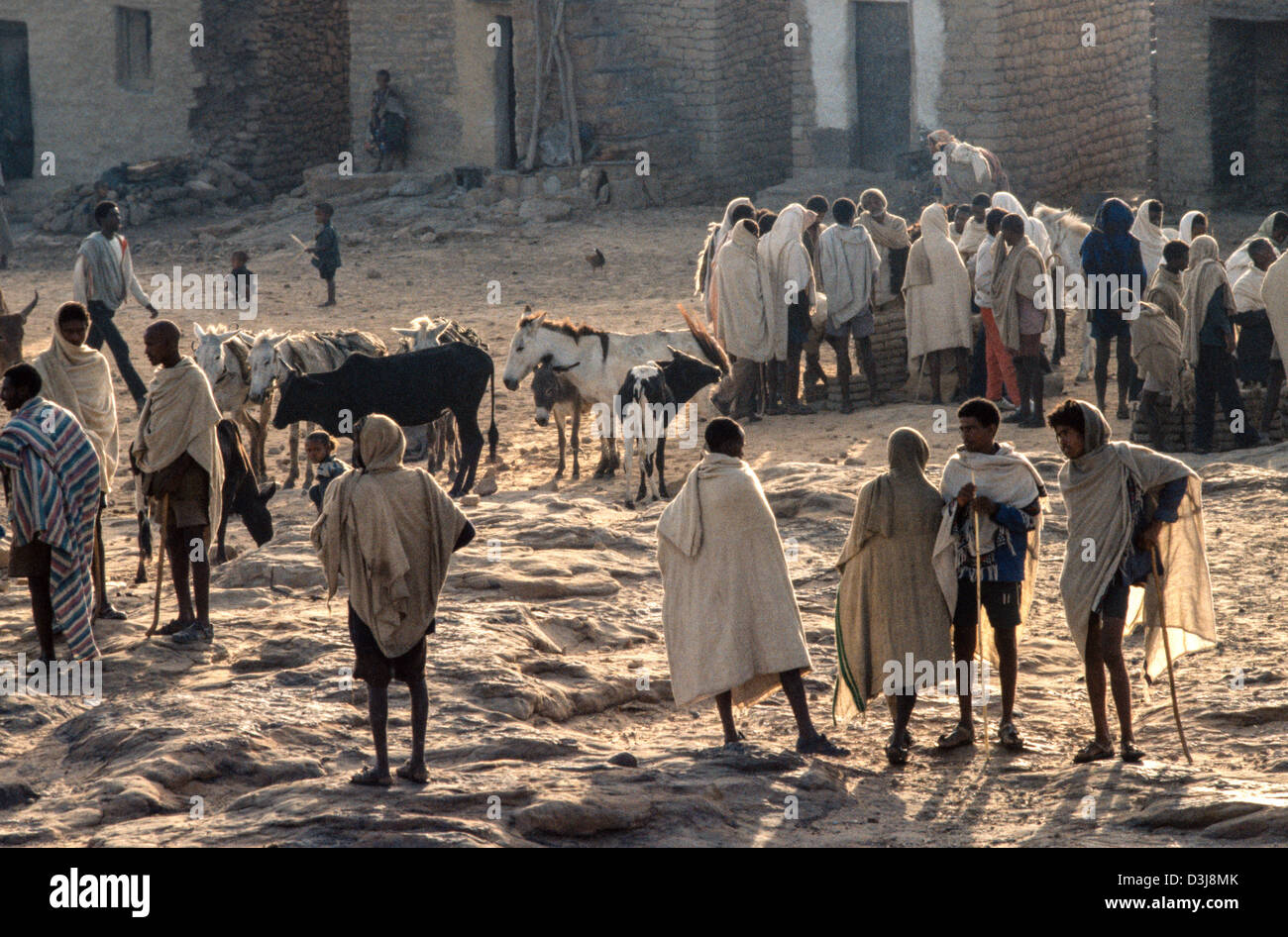 Early morning view of farmers and their livestock at an outdoor market, Mekoni, Tigray, Ethiopia Stock Photo