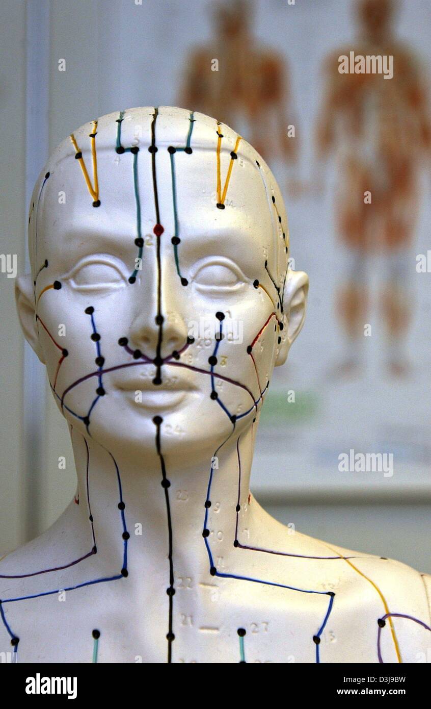 Acupuncture doll hires stock photography and images Alamy