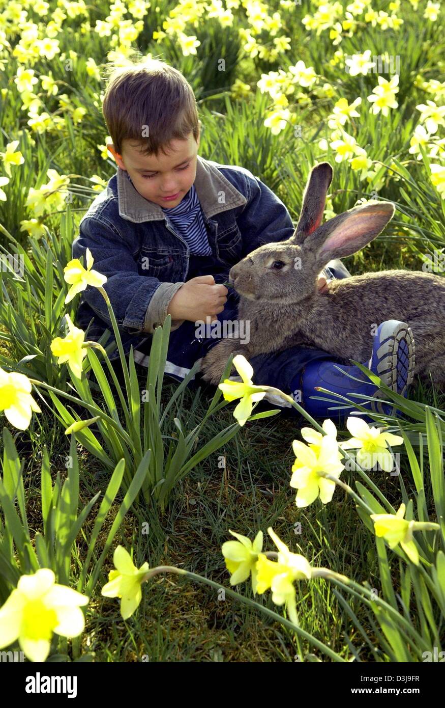 Easter monday rabbit hi-res stock photography and images - Alamy