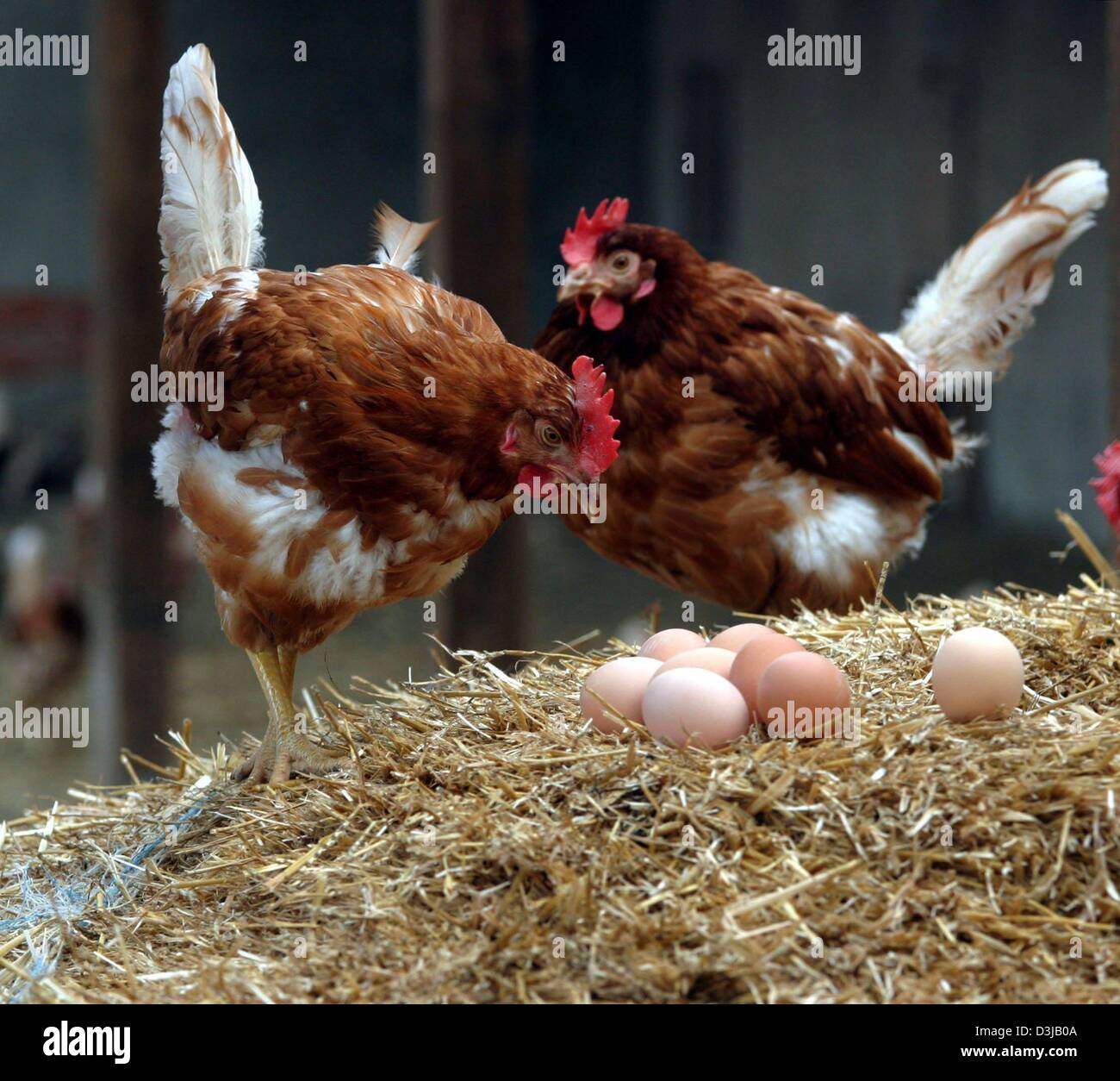 Full length clutch hires stock photography and images Alamy