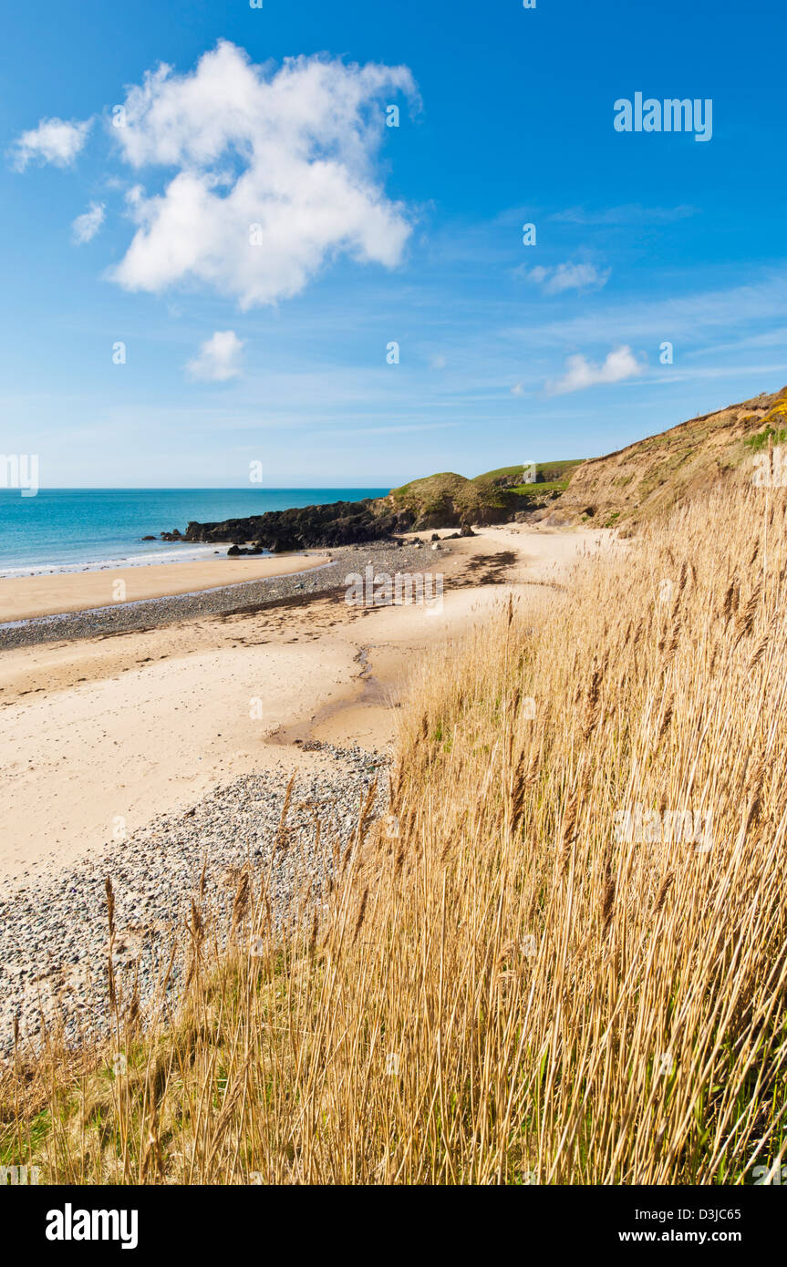 Porth Oer beach where the sand whistles due to the unique shape of the grains Lleyn Llyn peninsula Gwynedd North Wales GB UK Stock Photo