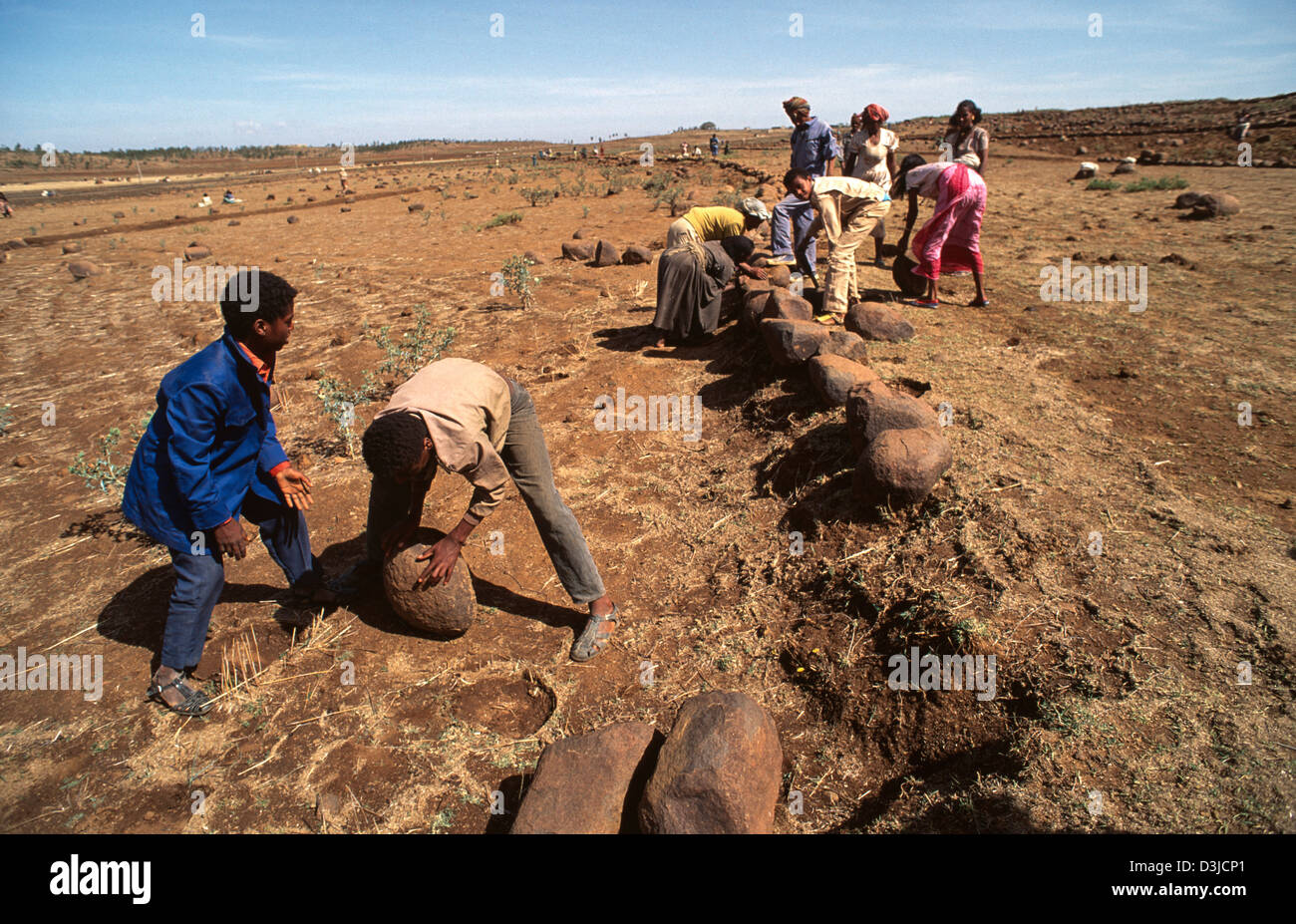 Terracing fields prevent soil erosion hi-res stock photography and ...