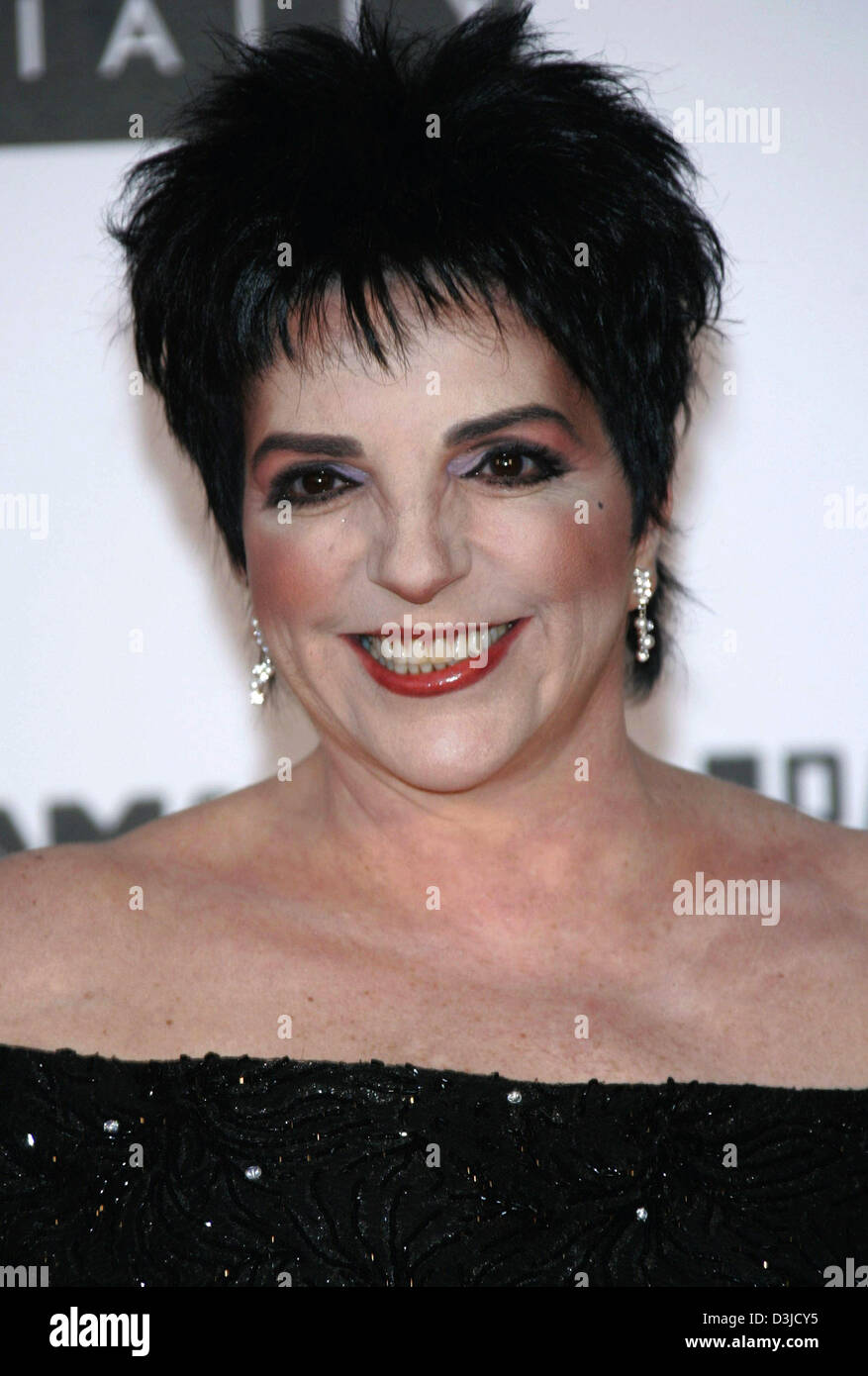 (dpa) - Actress and singer Liza Minelli attends the amfAR Party 'Cinema ...