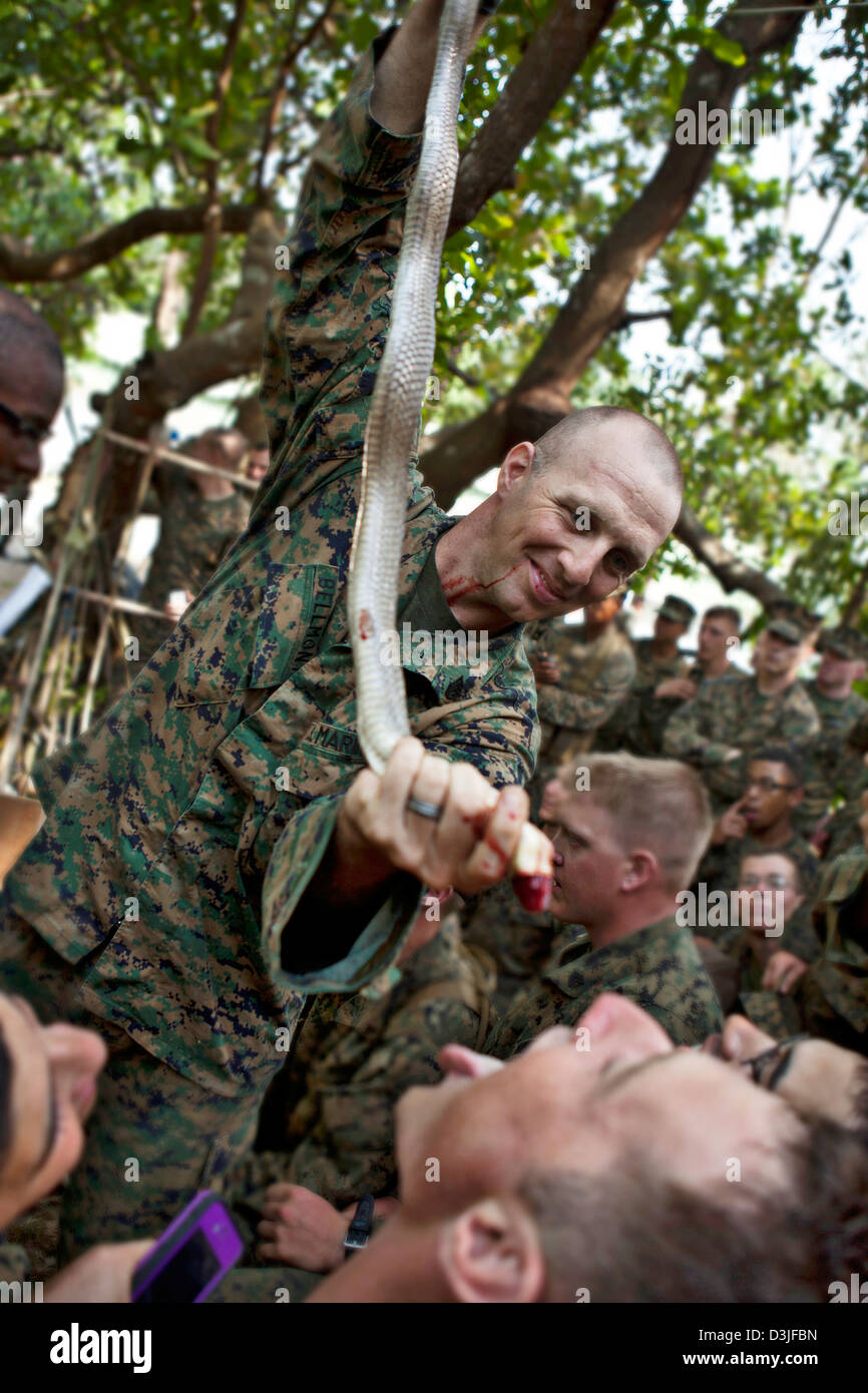A US Marine feeds cobra blood to a fellow Marine during a jungle survival course February 17, 2013 in Ban Chan Krem, Thailand. The class teaches Marines basic jungle survival techniques as part of Exercise Cobra Gold 2013. Stock Photo