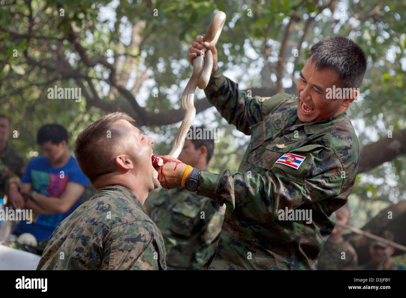 A Royal Thai Marine soldier feeds cobra blood to a US Marine during a jungle survival course February 17, 2013 in Ban Chan Krem, Thailand. The class teaches Marines basic jungle survival techniques as part of Exercise Cobra Gold 2013. Stock Photo