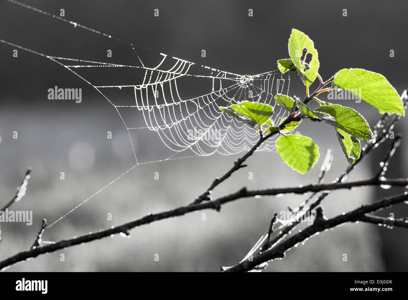 Rays spinning hi-res stock photography and images - Alamy