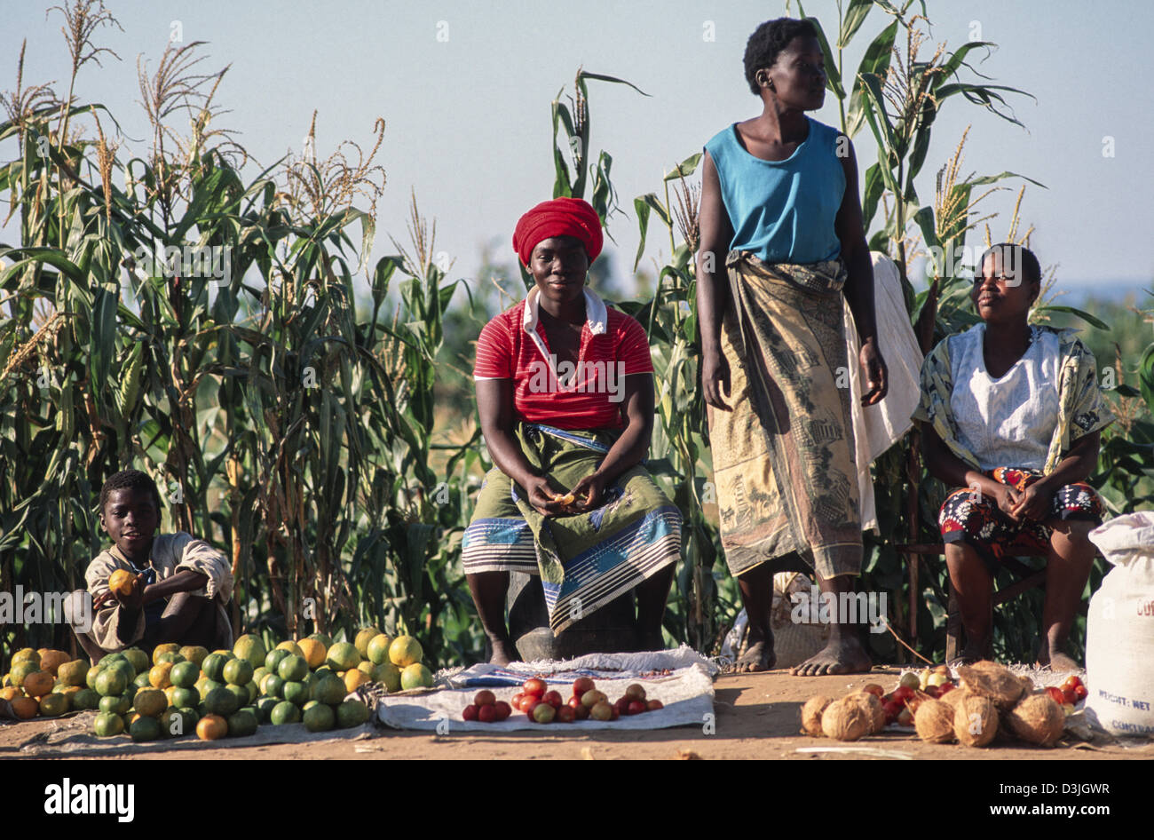 Three rural women selling fruit and vegetables at the roadside. Chokwe, Mozambique Stock Photo