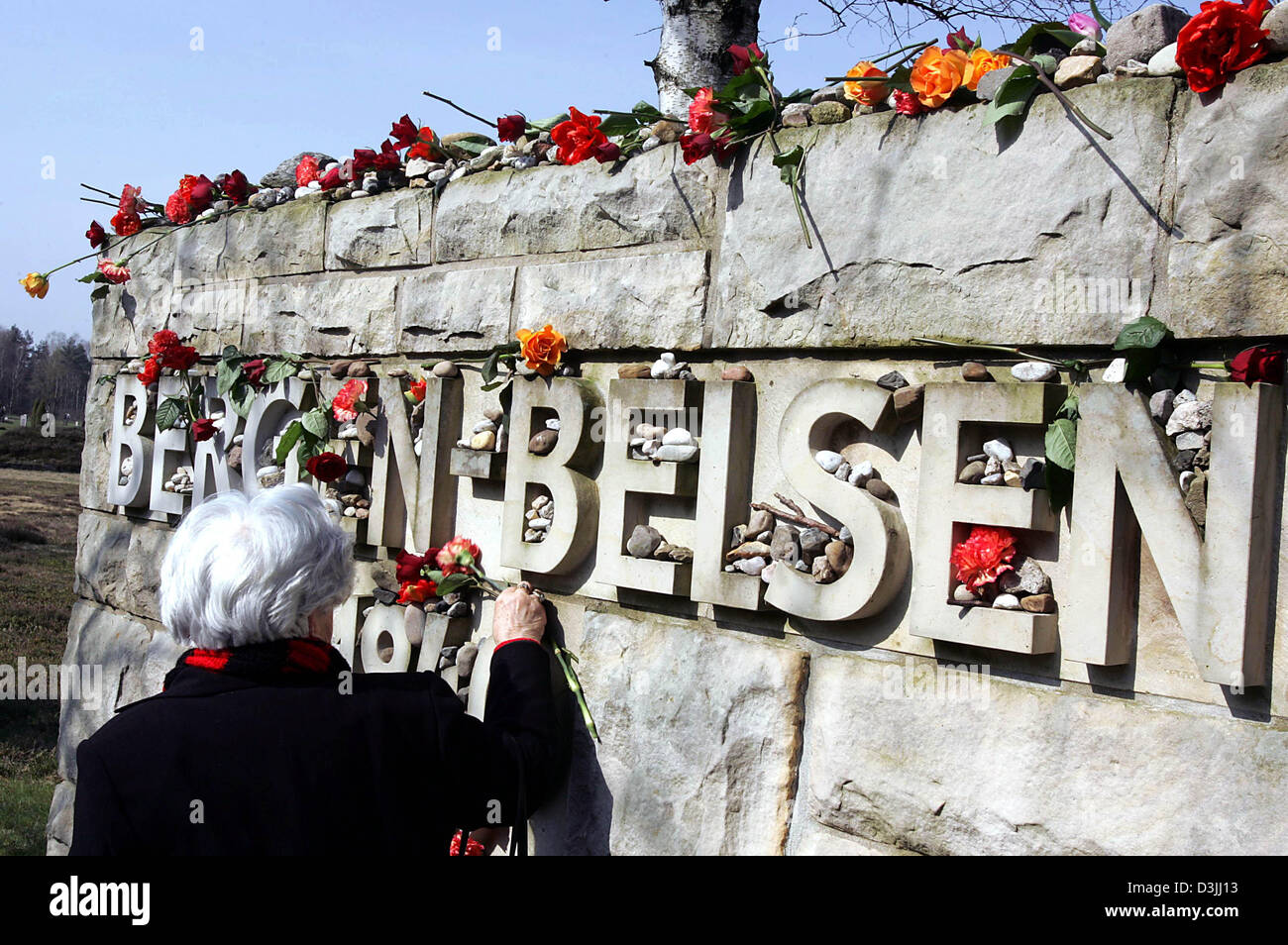 (dpa) - A survivor puts down flowers at a memorial stone on the occasion of the 60th anniversary of the liberation of the concentration camp in Bergen-Belsen, Germany, 15 April 2005. Bergen-Belsen camp was liberated by British troops on 15 April 1945. 100,000 prisoners from 40 countries, among them 50,000 Soviet prisoners of war and 30,000 Jews, died in the camp. The official memor Stock Photo