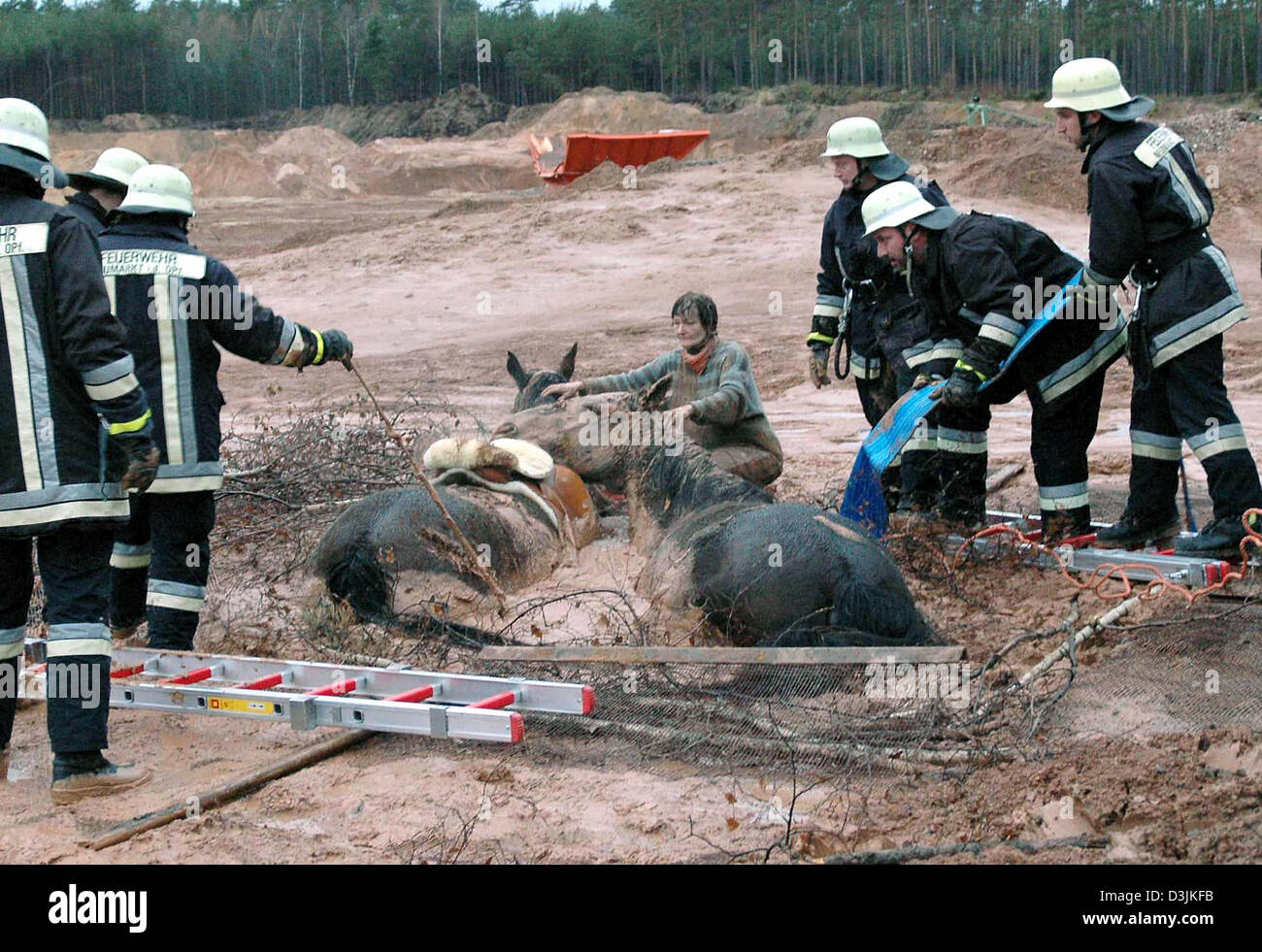 Sank In Swamp High Resolution Stock Photography and Images - Alamy