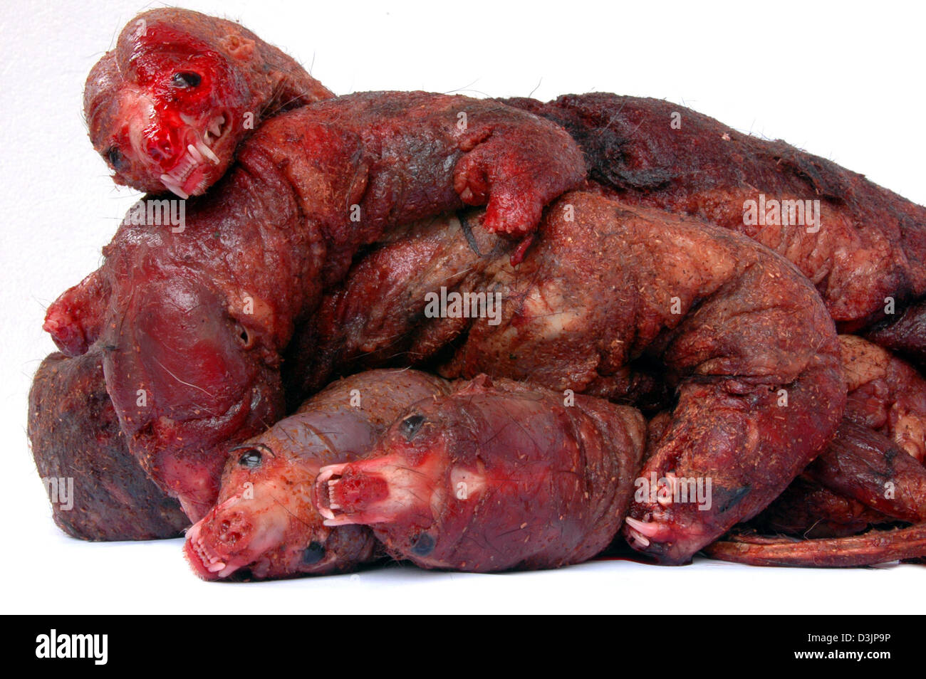 Human interest hum social issues soi animals skinned minks bloody dead  netherlands hi-res stock photography and images - Alamy