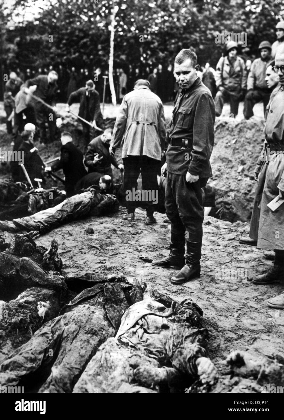 (dpa files) - A survivor from Russia (C) stands in front of his exhumed comrades as German civilians and members of the NSDAP are being ordered to transfere more than 200 corpses to another grave under US supervision in Wuelfel, Germany, 02 May 1945. Russian POWs were murdered by their guards on the way to another concentration camp in Wuelfel, near Hanover, Germany on 08 April 194 Stock Photo