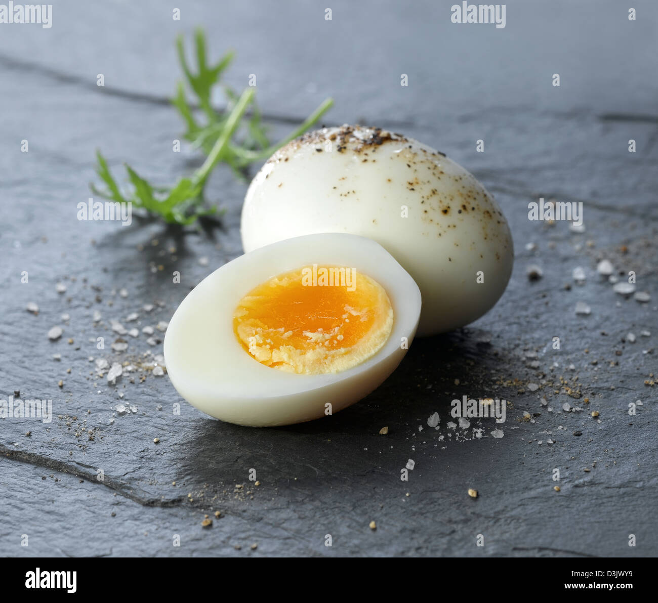 boiled egg Stock Photo